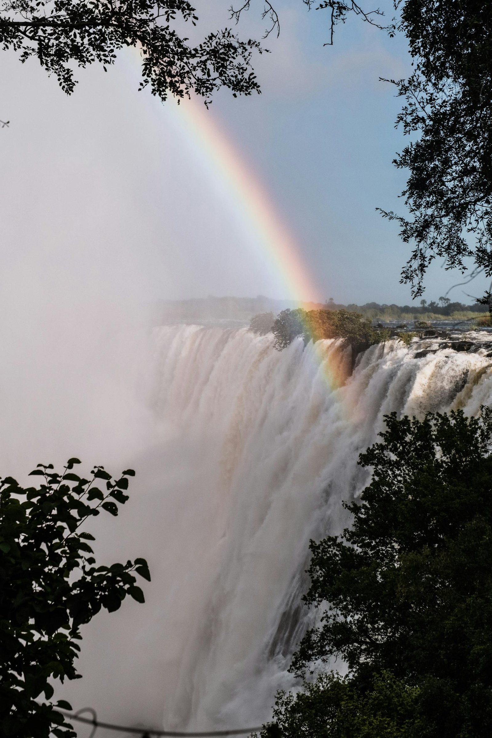 A stunning rainbow arches over the majestic Victoria Falls, surrounded by lush greenery.