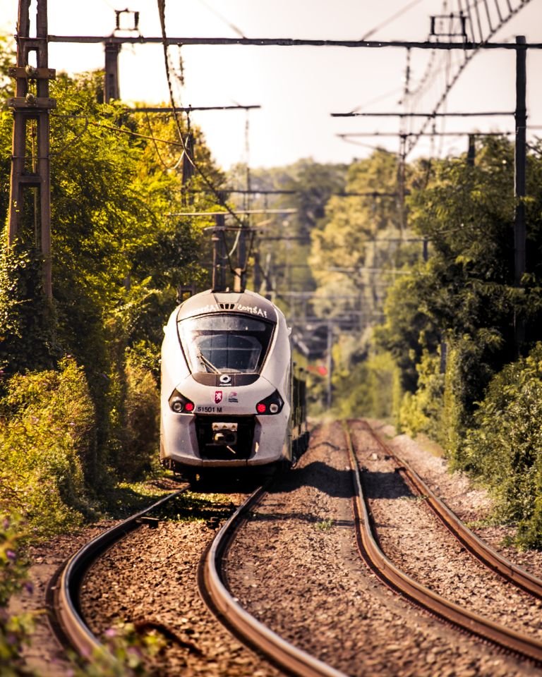 A high-speed train travels through a lush landscape in France on a sunny day.